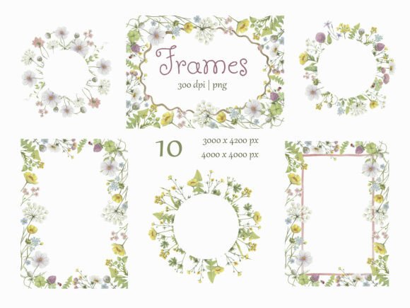 Watercolor Wildflowers Frames Set